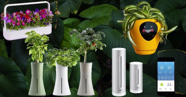 Garden equipment and technology: The best smart technology for the garden