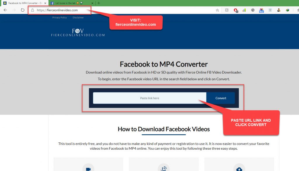 paste the facebook video url and click convert